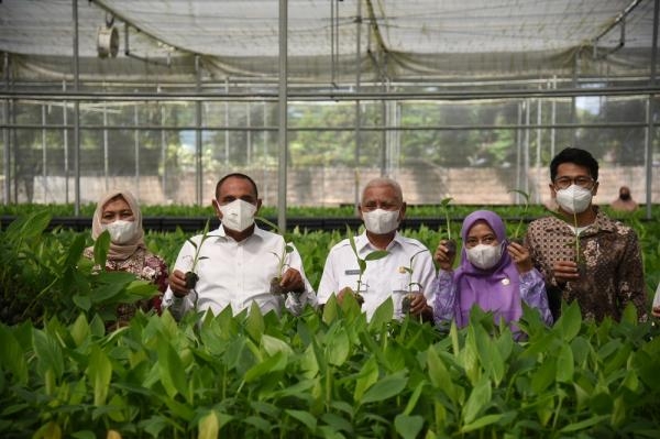 Kunjungi Pembibibitan Kultur Jaringan di Asahan, Edy Rahmayadi: Dengan Inovasi Sumut Bisa Kurangi Ketergantungan Impor